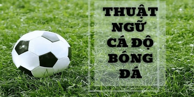 Thuật ngữ về kèo cơ sở của các loại cược